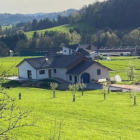Charmant Gite, Au Calme, Avec Vue Imprenable Sur La Nature Environnante Deycimont Zewnętrze zdjęcie