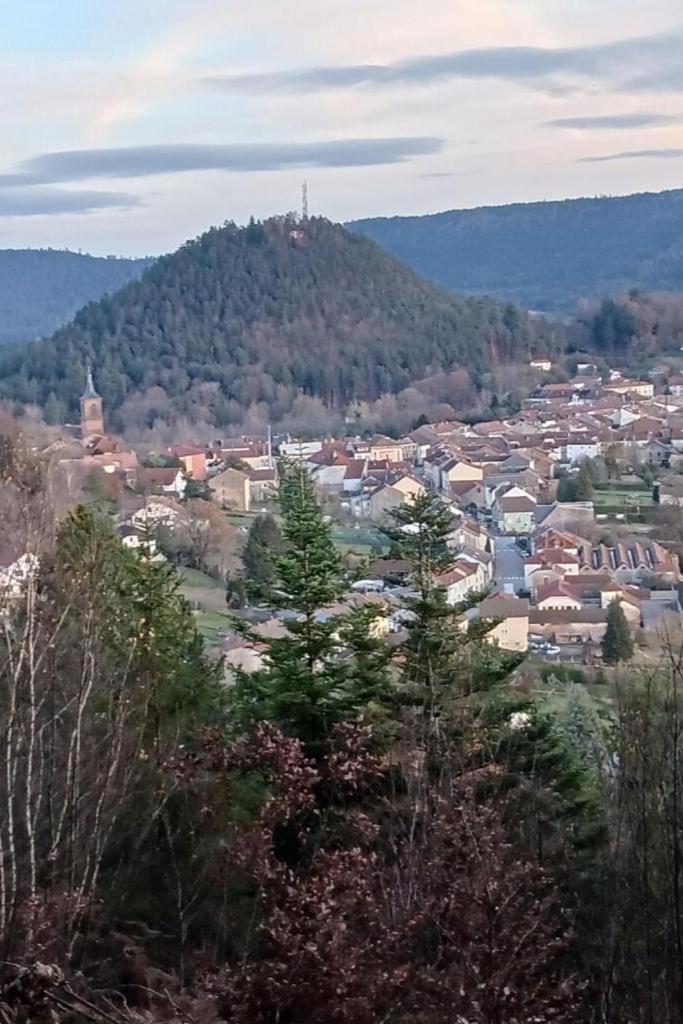 Charmant Gite, Au Calme, Avec Vue Imprenable Sur La Nature Environnante Deycimont Zewnętrze zdjęcie