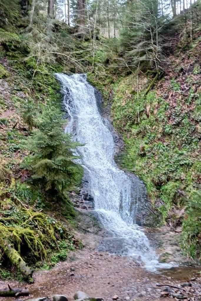Charmant Gite, Au Calme, Avec Vue Imprenable Sur La Nature Environnante Deycimont Zewnętrze zdjęcie