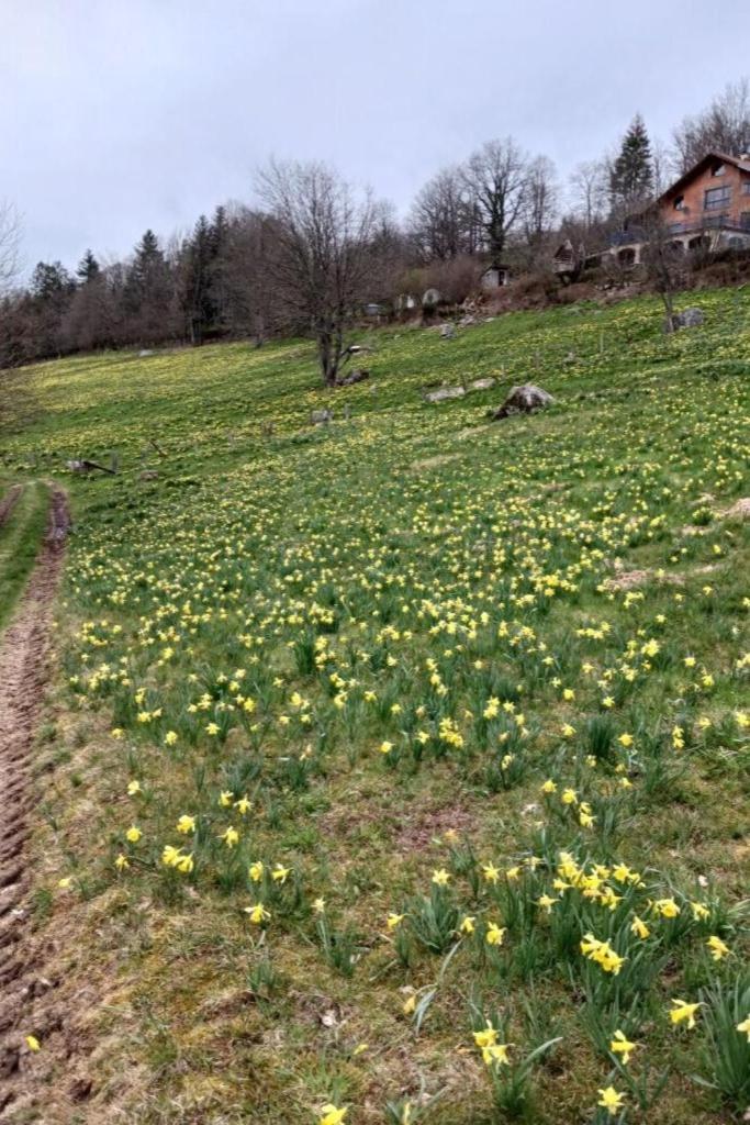 Charmant Gite, Au Calme, Avec Vue Imprenable Sur La Nature Environnante Deycimont Zewnętrze zdjęcie