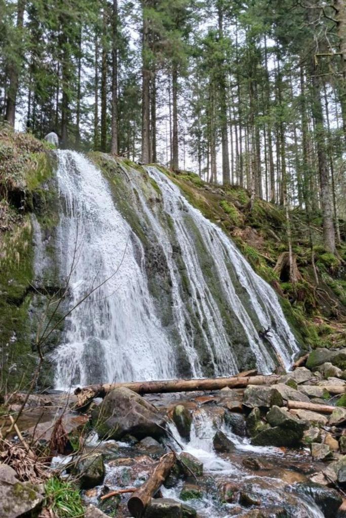 Charmant Gite, Au Calme, Avec Vue Imprenable Sur La Nature Environnante Deycimont Zewnętrze zdjęcie