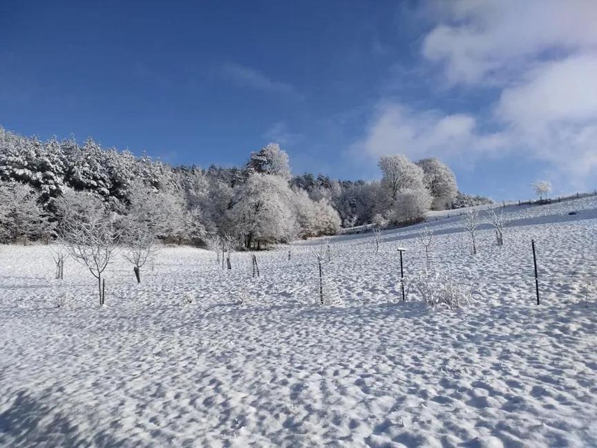 Charmant Gite, Au Calme, Avec Vue Imprenable Sur La Nature Environnante Deycimont Zewnętrze zdjęcie